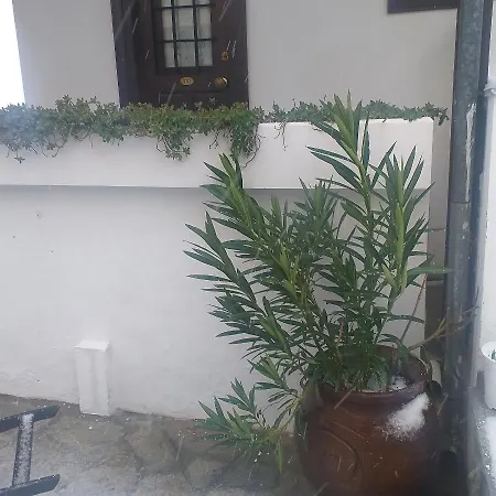 度假居 παραδοσιακο σπιτι του 1892 εως 10 ατομα 波尔塔里亚